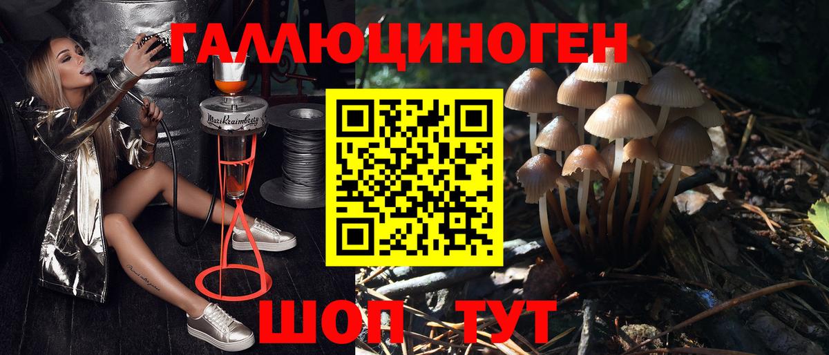 Заринск  купить закладку  Вход с VPN  Псилоцибиновые грибы Psilocybine cubensis 